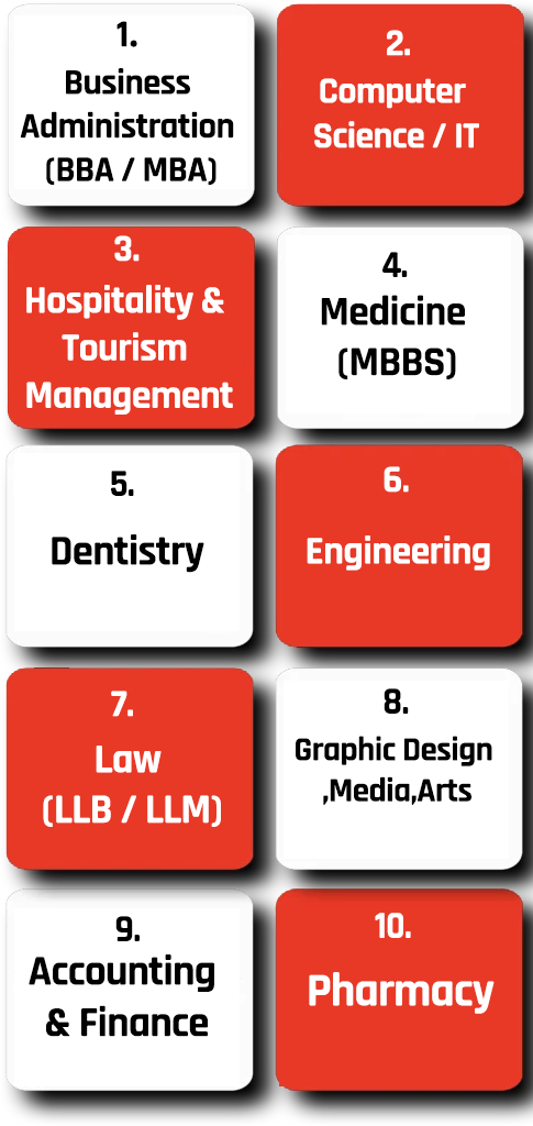 Top courses to study in Cyprus including business IT engineering medicine and law