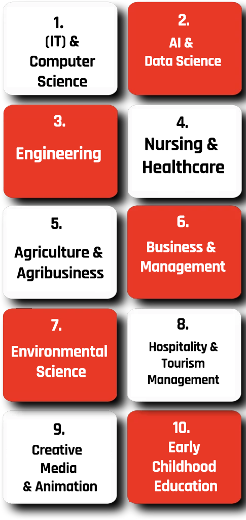 Top courses in New Zealand including IT, Data Science, Engineering, Business and Healthcare
